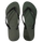 Green Olive Dark Grey