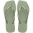 Smoke Green