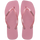 Rose Chiffom