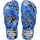 White/Blue