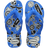 White/Blue