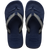 Navy/Navy