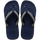 Navy/Navy