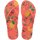 Tropical Coral