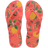 Tropical Coral