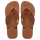 Rust