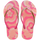 Blossom/Rosa Flux