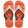 Sunset Orange