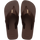 Dark Brown/Dark Brown