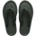 Green Olive