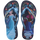 Azul/Azul Lavanda