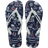 Navy / Navy / White