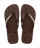 Dark Brown / White