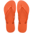 Sunset Orange