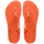 Sunset Orange