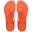 Sunset Orange