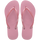 Rose Chiffom