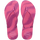 Rose Gum
