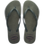 Green Olive