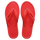 Tropical Coral