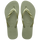 Smoke Green