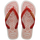 Red Hisbiscus