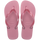 Rose Chiffom