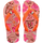 Blossom