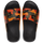 Citricos Black/Naranja