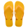 Amarillo Pop