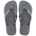 Steel Grey