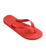 [ONLINE EXCLUSIVE] Color Flip Flops