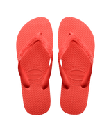 [ONLINE EXCLUSIVE] Color Flip Flops