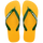 Amarillo Pop