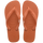 Cerraddo Orange